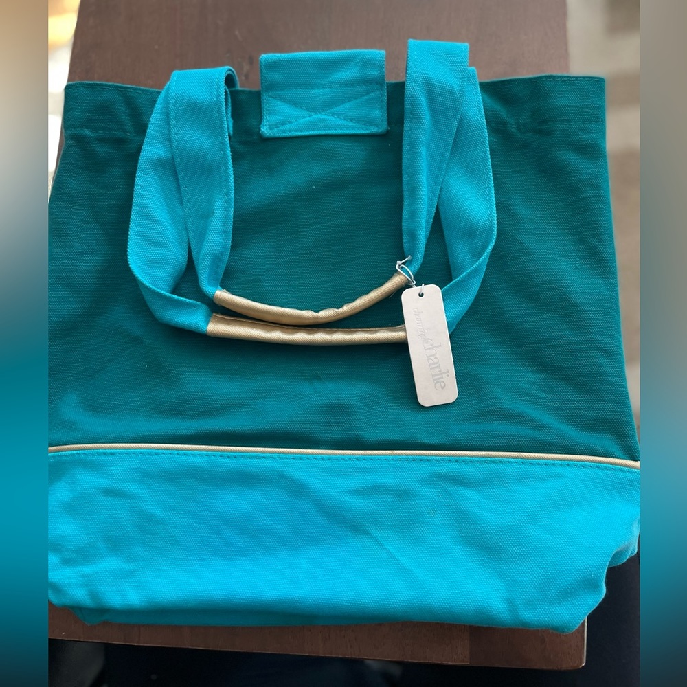 AS IS Colorblock canvas bag